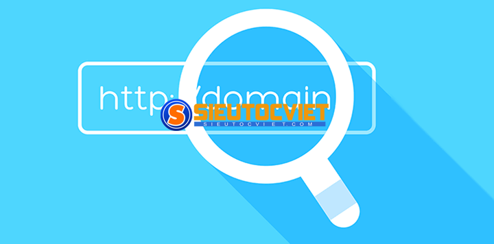 Kiểm tra domain là gì?