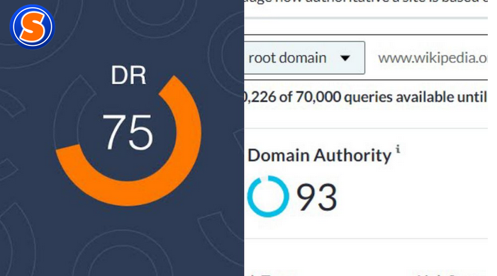 Check Domain rating online