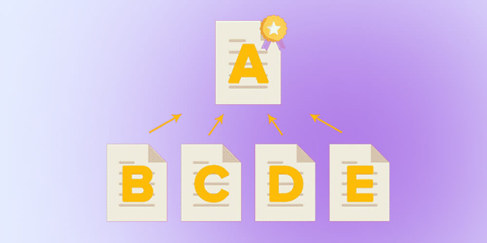 Canonical SEO PageRank 