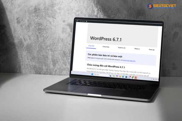 mua website chuẩn SEO Sieutocviet