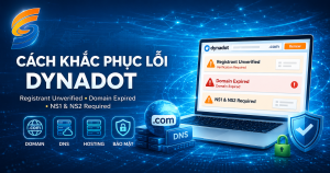 Lỗi gian hạn tên miền
