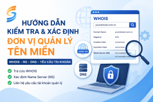 quản lý tên miền